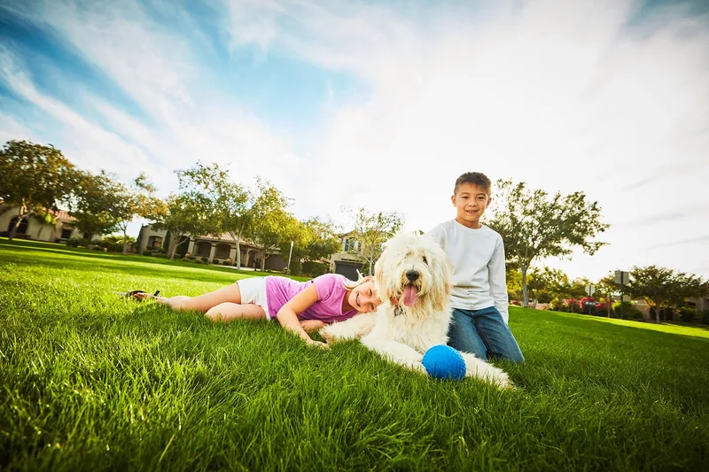 New homes at Marigold in Davie, Florida
